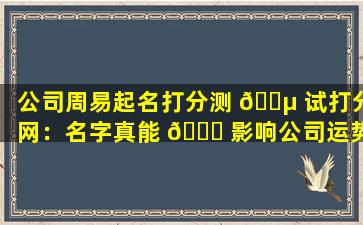 公司周易起名打分测 🌵 试打分网：名字真能 🐈 影响公司运势吗